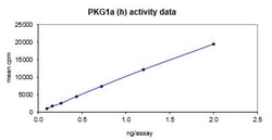 Eurofins DiscoverX PKG1 Protein, Active 10 &mu;g | Buy Online | Eurofins DiscoverX | Fisher Scientific